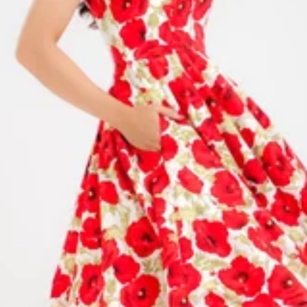 New Lady Mara poppy swing dress